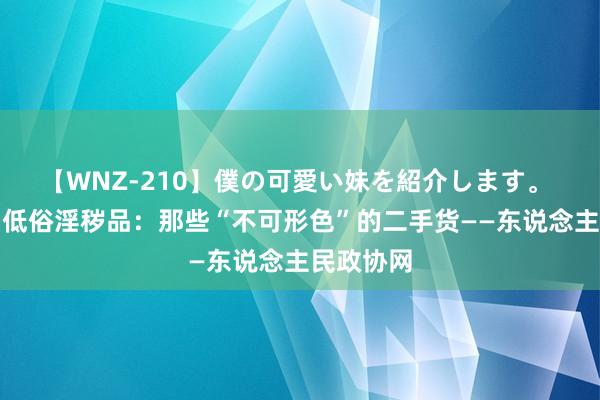 【WNZ-210】僕の可愛い妹を紹介します。 卖家偷售低俗淫秽品：那些“不可形色”的二手货——东说念主民政协网