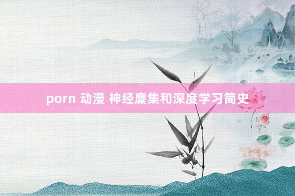 porn 动漫 神经麇集和深度学习简史