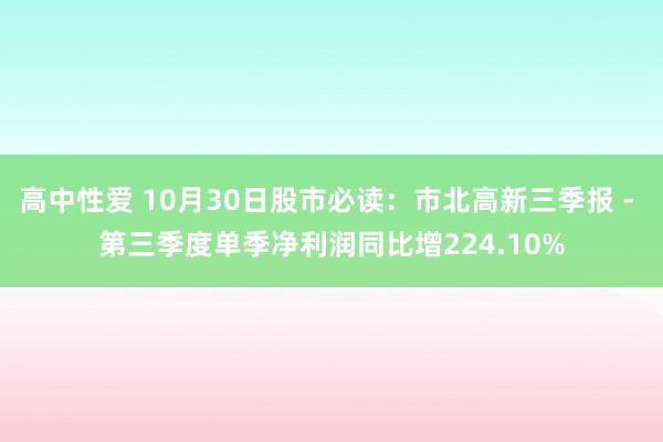 高中性爱 10月30日股市必读：市北高新三季报 - 第三季度单季净利润同比增224.10%