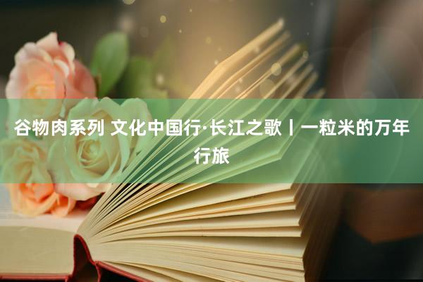 谷物肉系列 文化中国行·长江之歌丨一粒米的万年行旅